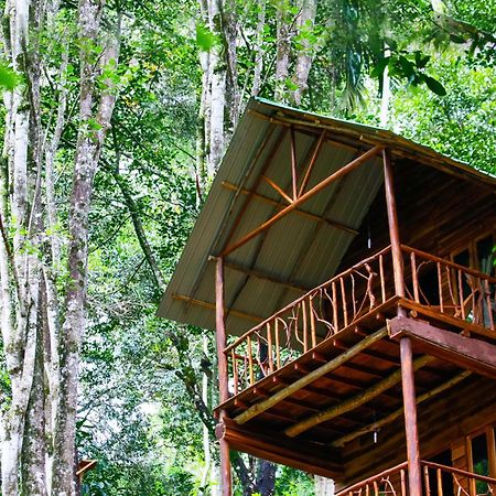 艾拉生态山间小屋 埃拉 外观 照片