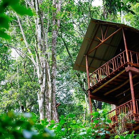 艾拉生态山间小屋 埃拉 外观 照片