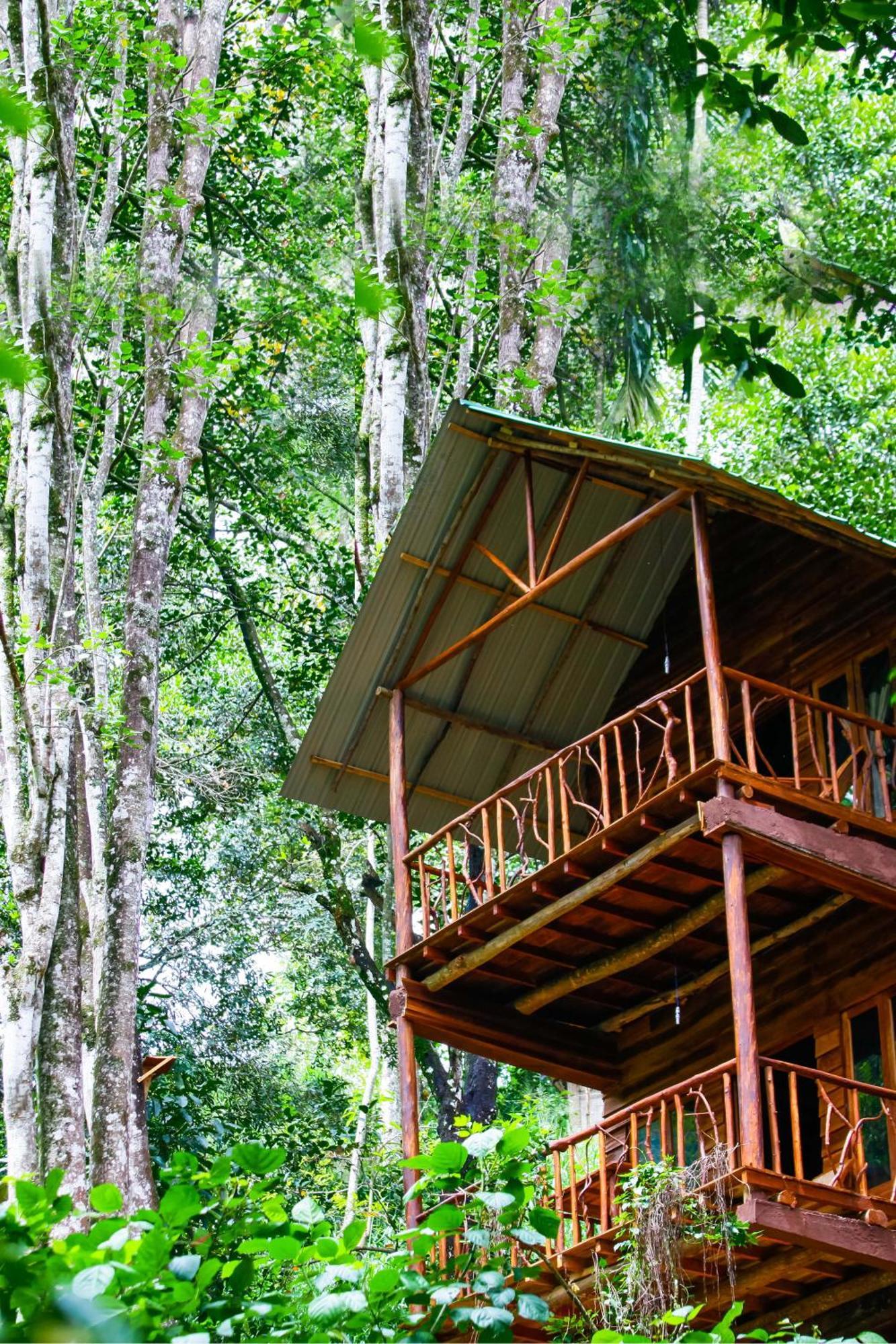 艾拉生态山间小屋 埃拉 外观 照片