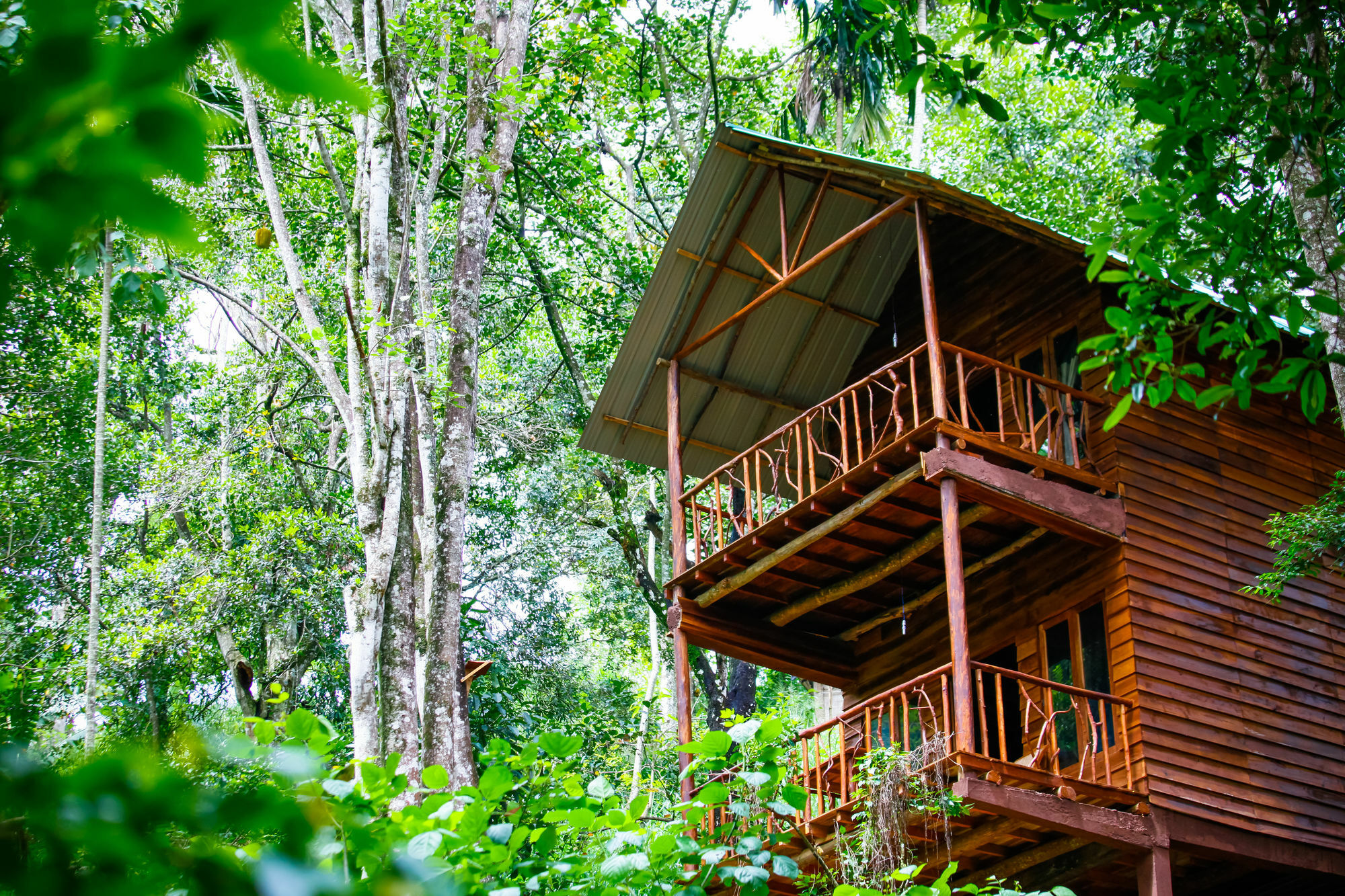 艾拉生态山间小屋 埃拉 外观 照片