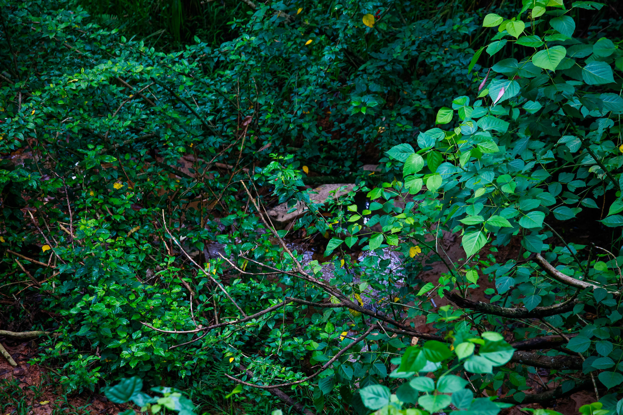艾拉生态山间小屋 埃拉 外观 照片
