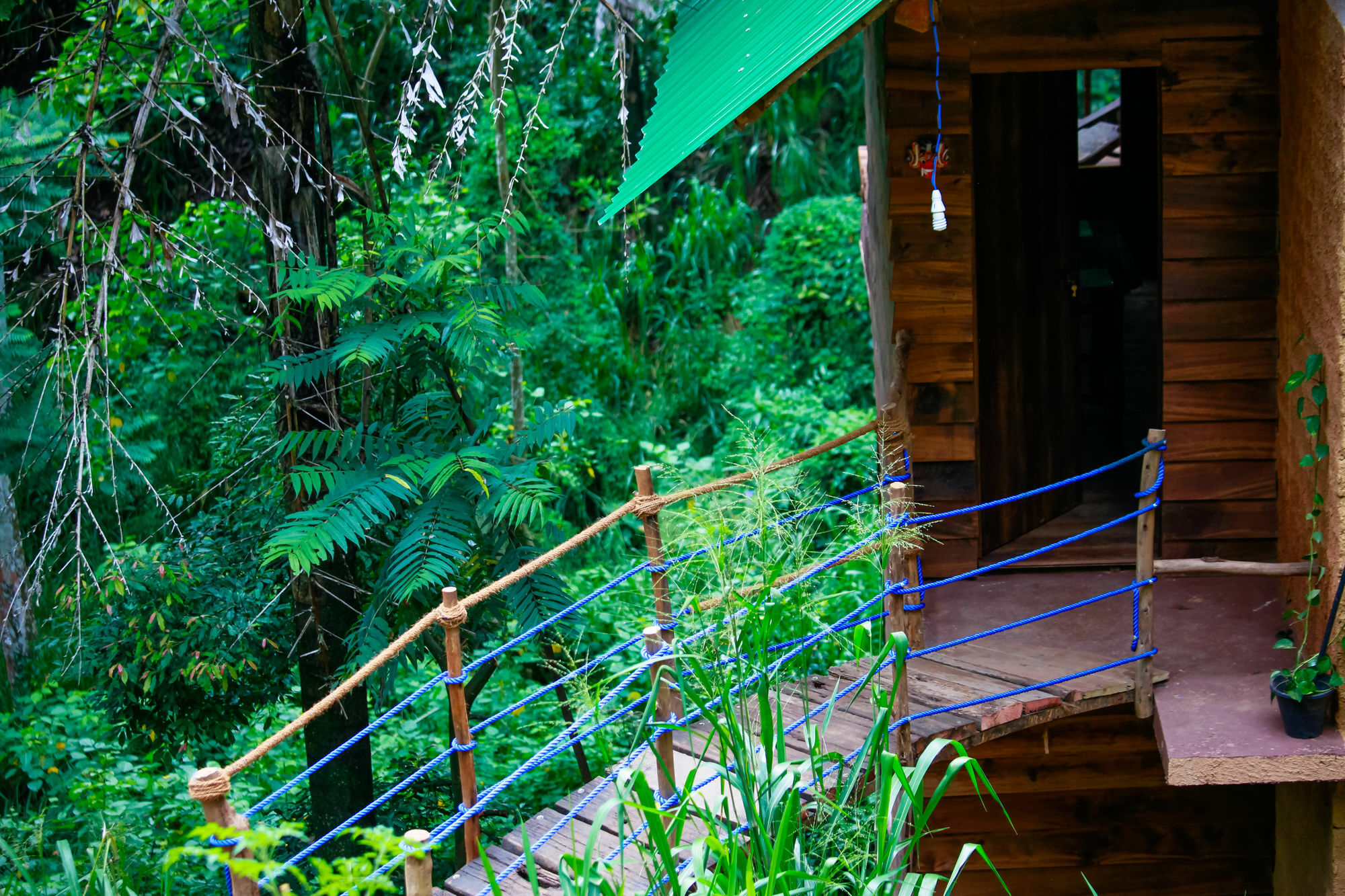 艾拉生态山间小屋 埃拉 外观 照片