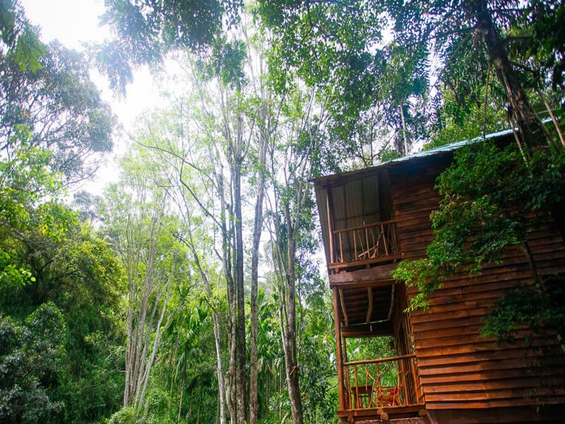 艾拉生态山间小屋 埃拉 外观 照片