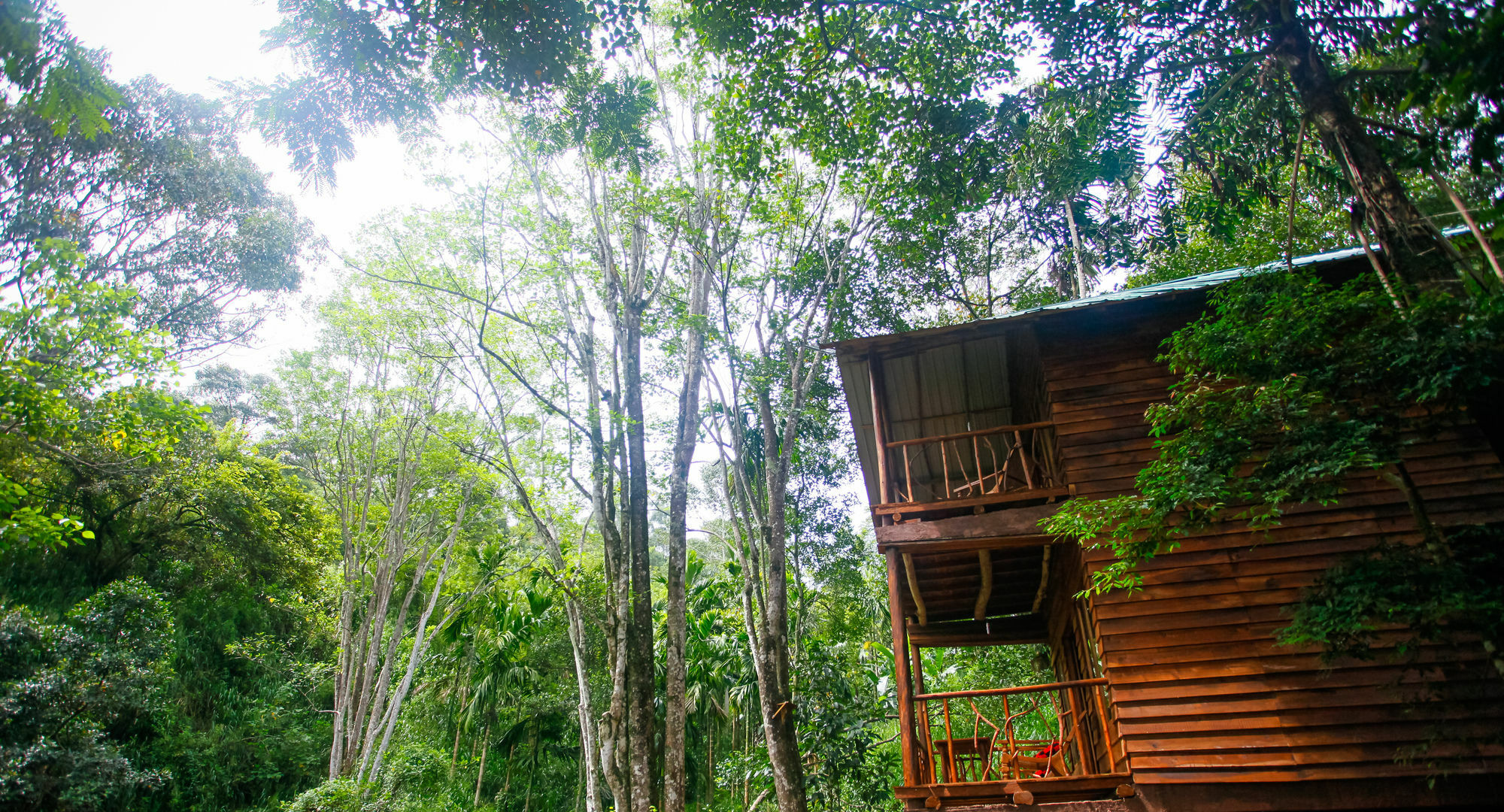 艾拉生态山间小屋 埃拉 外观 照片
