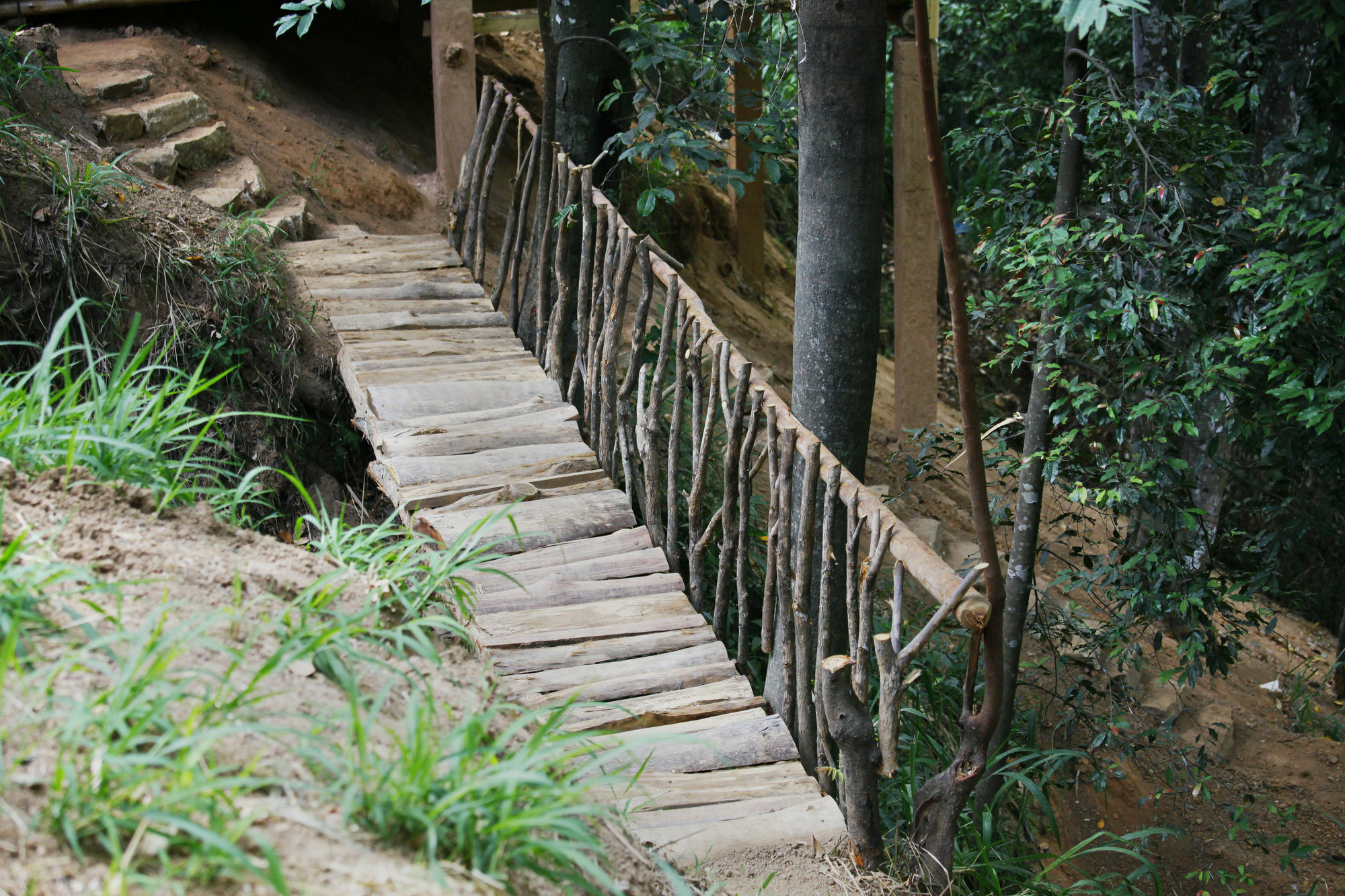 艾拉生态山间小屋 埃拉 外观 照片