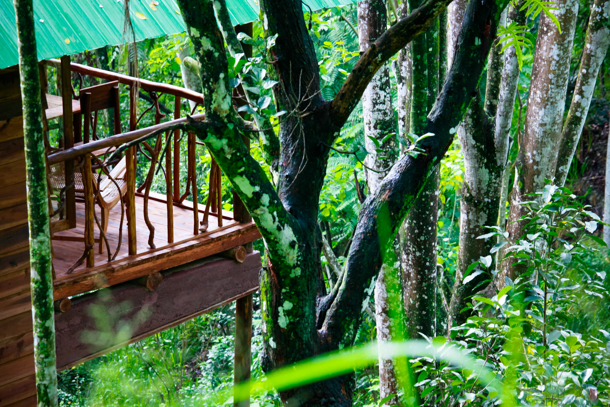 艾拉生态山间小屋 埃拉 外观 照片