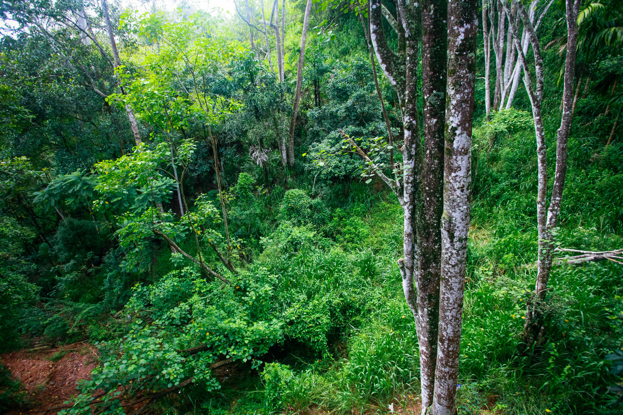 艾拉生态山间小屋 埃拉 外观 照片